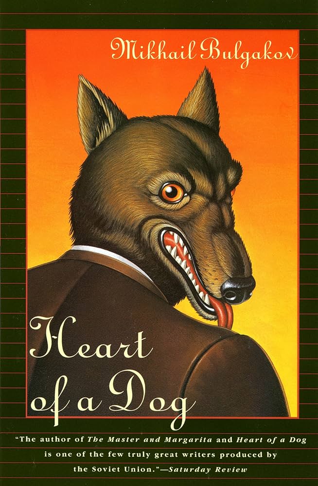 heart of dog