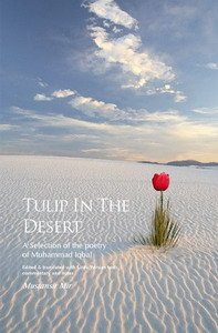 iqbaltulip